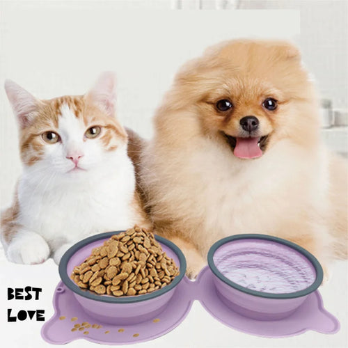 Silicone Double Pet Bowls - Foldable, Anti-Choke, Outdoor Use